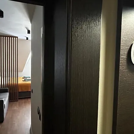 Apartment Bela Reka C308